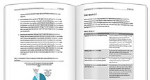 analyst report